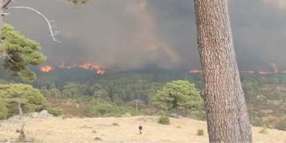 İspanya'da orman yangını alarmı: Yüzlerce kişi tahliye edildi