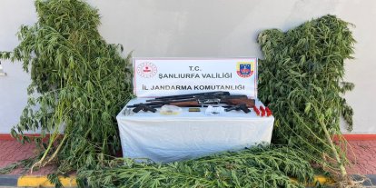 Şanlıurfa’da uyuşturucu ve silah operasyonu