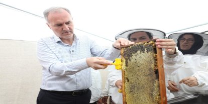 Bursa'da bal hasadına başlandı