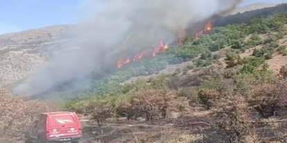Malatya'da orman yangını