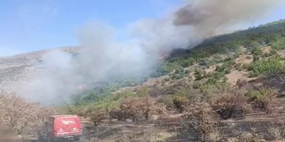 Malatya'daki orman yangını söndürüldü