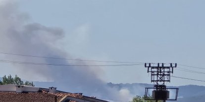 Bursa'da orman yangını