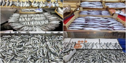 Balıkçılar "Vira Bismillah" dedi, balıklar tezgâhlardaki yerini aldı