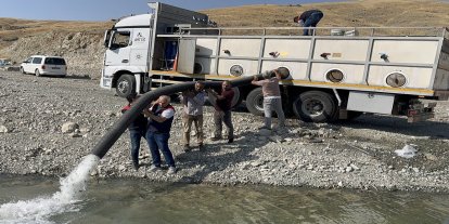 Malatya'da iç sulara 1 milyon 73 bin yavru sazan bırakıldı