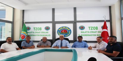 Malatya'da dondan zarar gören çiftçilere dekar başına 5 bin 500 TL ödeme yapılacak