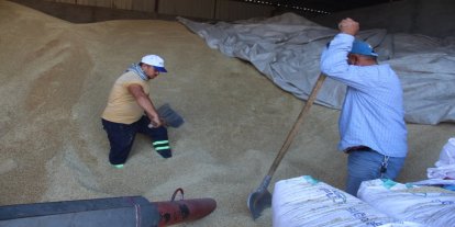 Zahire Pazarı’nda zor mesai: Hamalların emek dolu mesaisi