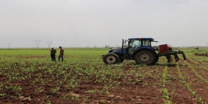 Bitkisel üretimde 2025-2027 desteklerinin detayları belli oldu
