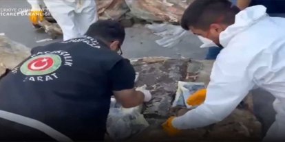 Sarp Gümrük Kapısı ve İstanbul'da 601 kilo uyuşturucu ele geçirildi