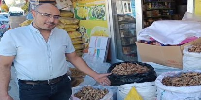 Hasadı başlayan sumağın kilosu 350 TL'den satılıyor