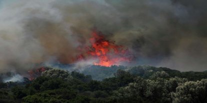 Alanya'daki orman yangını 4 gün sonra kontrol altına alındı