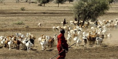 Senegal'de Rift Vadisi ateşi salgınında ölü sayısı 17'ye yükseldi