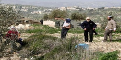OCHA: Batı Şeria'da bir haftada 71 saldırı, yarısı zeytin hasadıyla bağlantılı