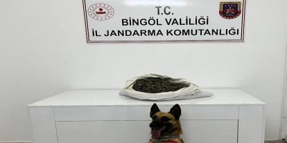 Bingöl’de durdurulan araçta 2 kişi gözaltına alındı