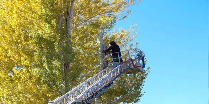 Bingöl Karlıova belediyesinden ağaç kesimi yapan vatandaşlara itfaiye desteği