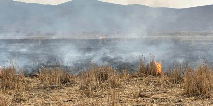 Bingöl'de anız yangını kısa sürede söndürüldü