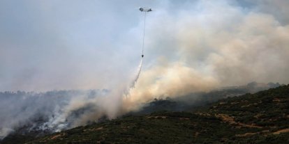 Hatay'da orman yangını