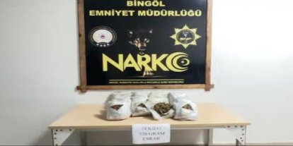 Bingöl’de 14 kilo 350 gram skunk ele geçirildi