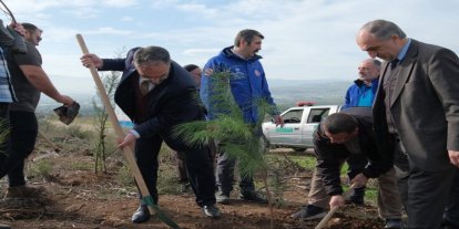 Gazze şehitleri için Bursa'da yüzlerce fidan dikildi