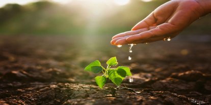 TEMA Vakfı’ndan Şanlıurfa için kritik çağrı: Toprak kaybı gıda ve iklimi tehdit ediyor