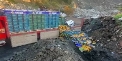 Zirai ilaç kalıntısı tespit edilen 6 bin 100 kilogram mandalina imha edildi