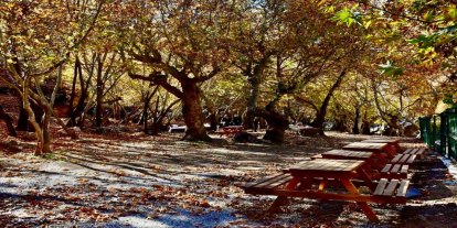 Batman'ın saklı cenneti kınalı mesire alanı, ziyaretçilerini ağırlamaya hazırlanıyor