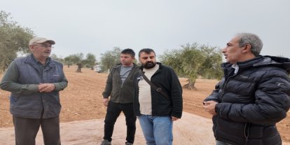 Bilim tarlaya indi: Üniversiteden köylüye uygulamalı zeytin hasadı eğitimi