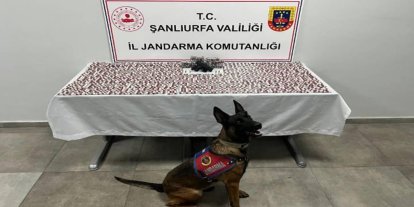 Şanlıurfa’da uyuşturucu operasyonunda sentetik ecza ve silah ele geçirildi