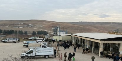 Siirt hayvan pazarı kapsamlı kontrollerin ardından yeniden açıldı