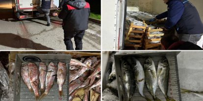 Bursa balık halinde denetim: 141 kg balığa el konuldu