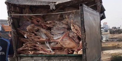 Gaziantep’te 1,9 ton bozulmuş et imha edildi