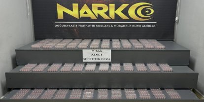 Ağrı'da durdurulan bir tırda yüklü miktarda sentetik ecza maddesi ele geçirildi