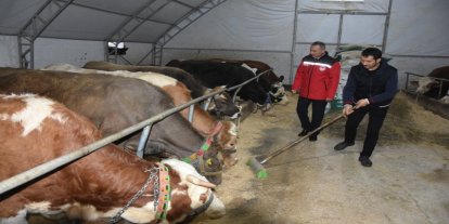 Ordu’da 164 yatırımcıya kırsal kalkınma desteği
