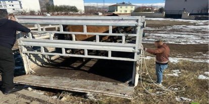 Kazalara sebep oluyordu; çözüm bulundu