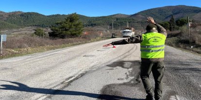 OGM’den kaçak kesimlere karşı 7/24 koruma