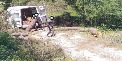 OGM’den kaçak kesimlere karşı 7/24 koruma