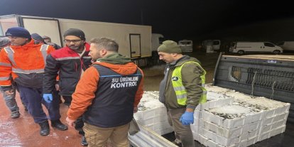 Bursa'da su ürünlerine denetim: 615 kilo istavrite el konuldu