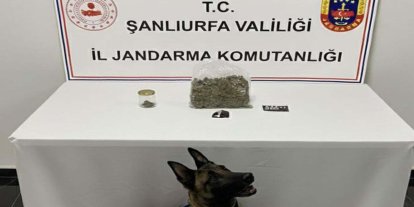 Şanlıurfa’da narkotik operasyonu