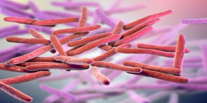 Avrupa cüzzam vakaları nedeniyle alarmda