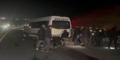 Kaçan yarış tayları kara yoluna çıktı: 6 tanesi telef oldu