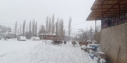 Tufanbeyli’de kar yağışı hayvancılığı etkiledi
