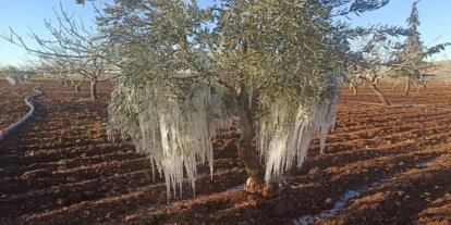 TARSİM’in 2026 teminat kapsamı belirlendi