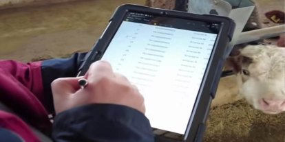 Bingöl’de hayvancılıkta dijital dönüşüm: Aşılama ve küpeleme artık tabletle yapılacak