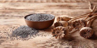 TMO mavi renkli haşhaş tohumunun satışına başladı