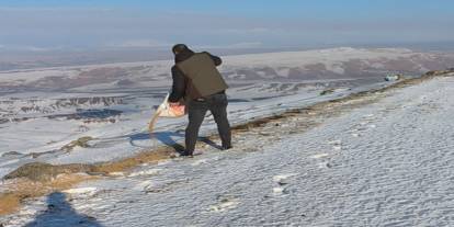 Batman'da doğaya tonlarca yem bırakıldı