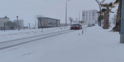 Öter: Son 10 yılın en verimli kar yağışı Mardin Ovası’na can suyu oldu