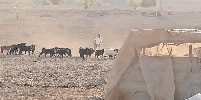 İşgalciler Eriha’nın kuzeyinde Filistinlilere saldırdı