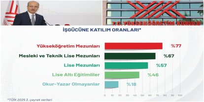 Yükseköğretim mezunları işgücüne katılımda ilk sırada