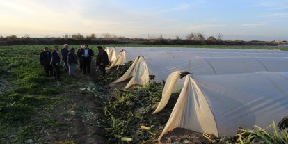 Don felaketi Tarsus’ta çiftçiyi vurdu: Yüzde 100 zarar var