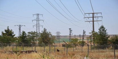 Dicle Elektrik’ten çevreye katkı: Binlerce ağaç kurtarıldı