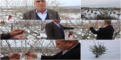 Gaziantep Şehitkamil Ziraat Odası Başkanı Yiğit: Kar yağışı çiftçi için rahmet oldu